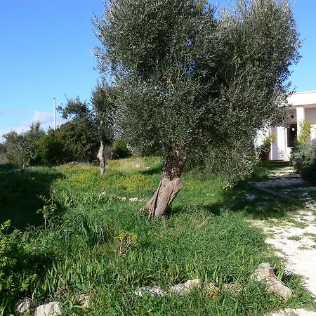 بيت للعطل Trulli Eutopia أوستوني