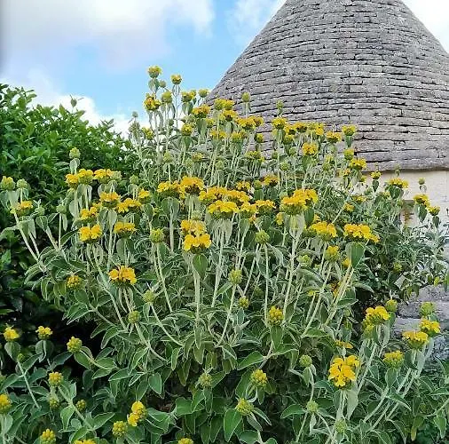 Trulli Eutopia Дом отдыха