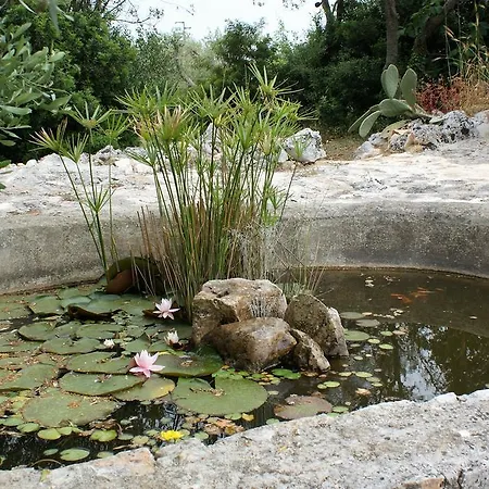 Trulli Eutopia * Ostuni