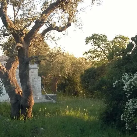 度假居 Trulli Eutopia *