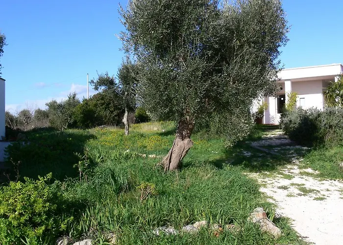 Сasa de vacaciones Trulli Eutopia Ostuni