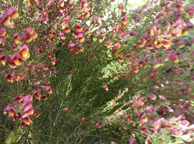 Trulli Eutopia Tatil Evi